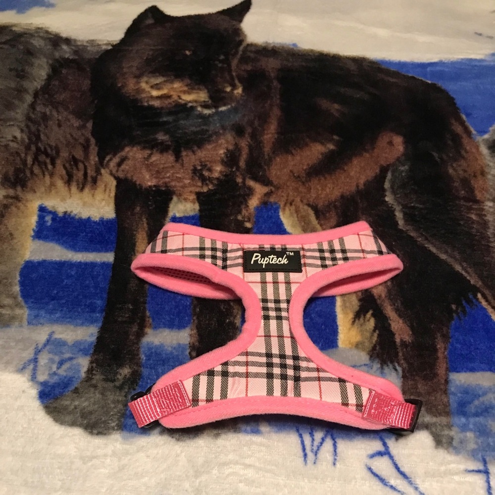 Pink small female dog harness
